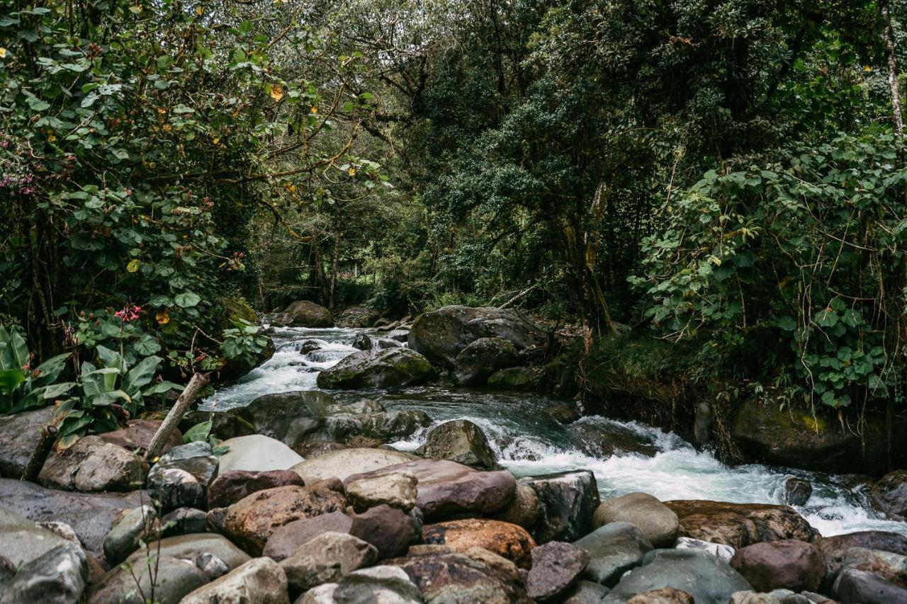 Trogon Lodge San Gerardo de Dota Esterno foto