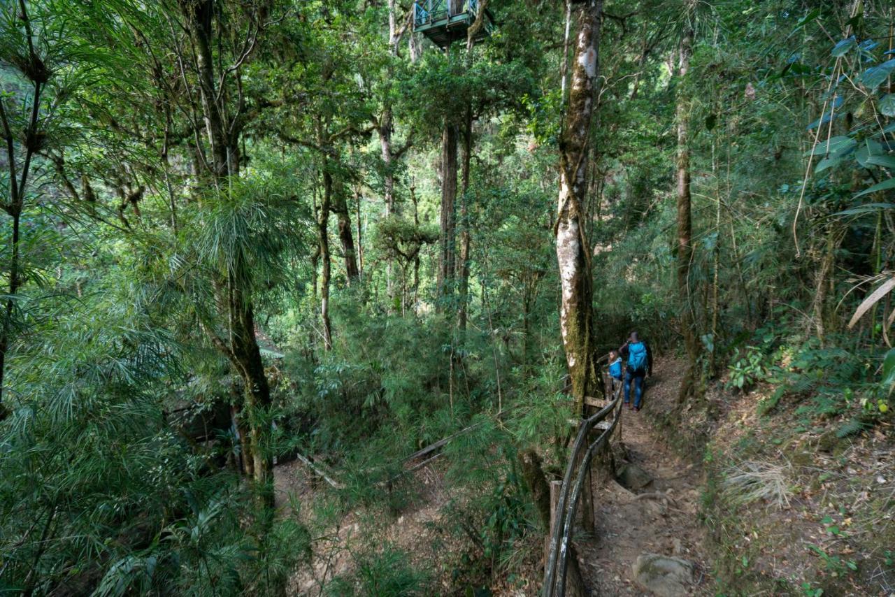 Trogon Lodge San Gerardo de Dota Esterno foto