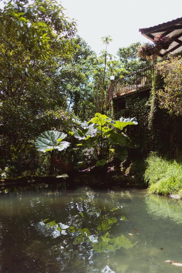 Trogon Lodge San Gerardo de Dota Esterno foto