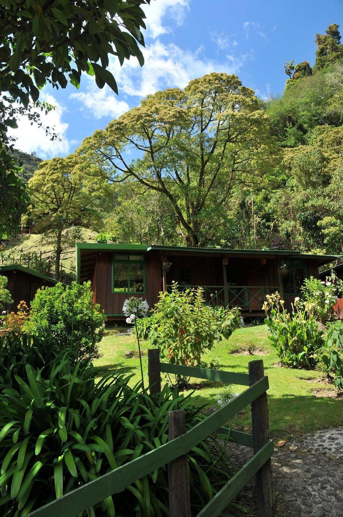 Trogon Lodge San Gerardo de Dota Esterno foto